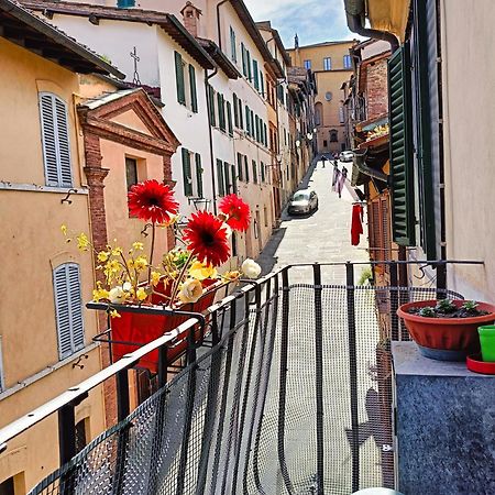 La Campanina-Nel Cuore Di Siena E Della Contrada Exterior photo
